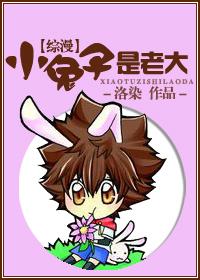 [Comprehensive] The little rabbit is the BOSS