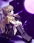 Guarding the Sweetheart Noble Princess's A Dream