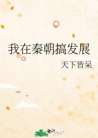 I was engaged in development in the Qin Dynasty