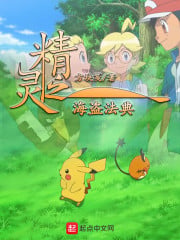 Pirate Code of the Elves