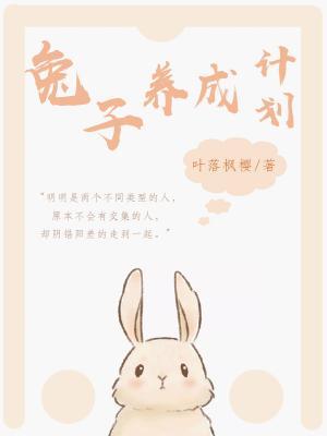 The first version of the Rabbit Raising Plan