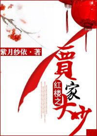 The Young Master of the Jia Family in the Red Chamber