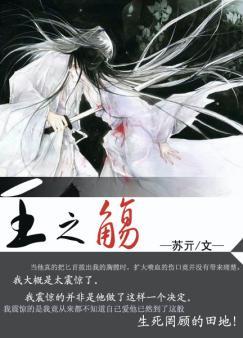 Wang Zhijing